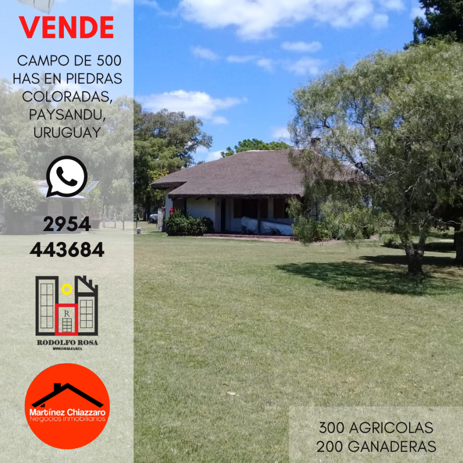 500 hectareas mixtas en Paysandu, Uruguay