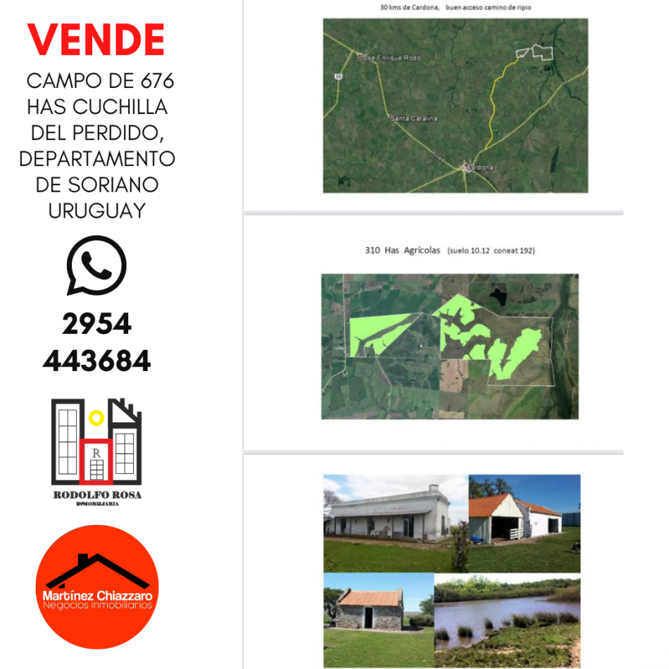Establecimiento rural de 676 hectareas ubicado en Departamento de Soriano, Uruguay