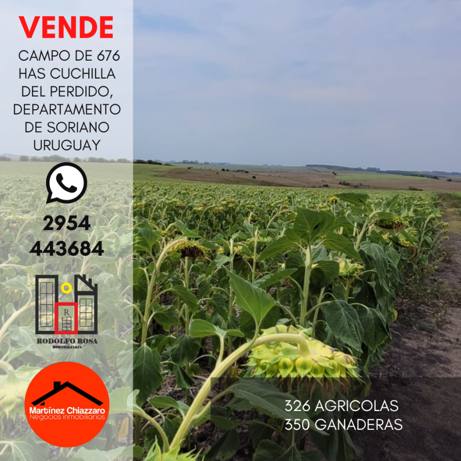 Establecimiento rural de 676 hectareas ubicado en Departamento de Soriano, Uruguay