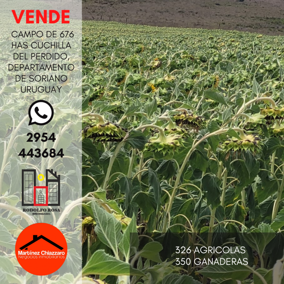 Establecimiento rural de 676 hectareas ubicado en Departamento de Soriano, Uruguay