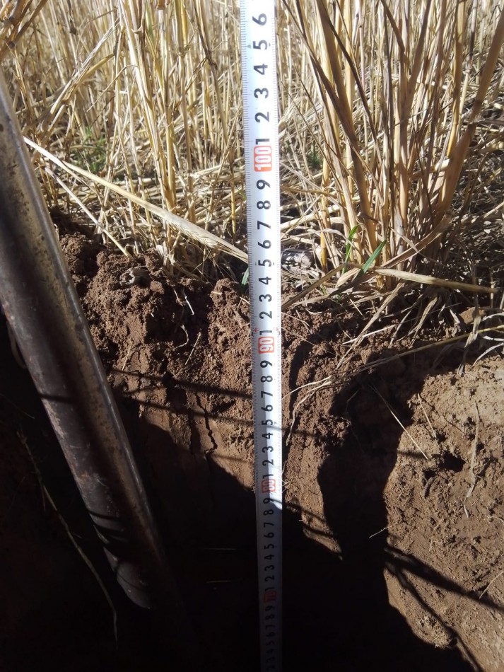 131 hectareas en Eduardo Castex, La Pampa (condominio sobre 264 hectareas totales)