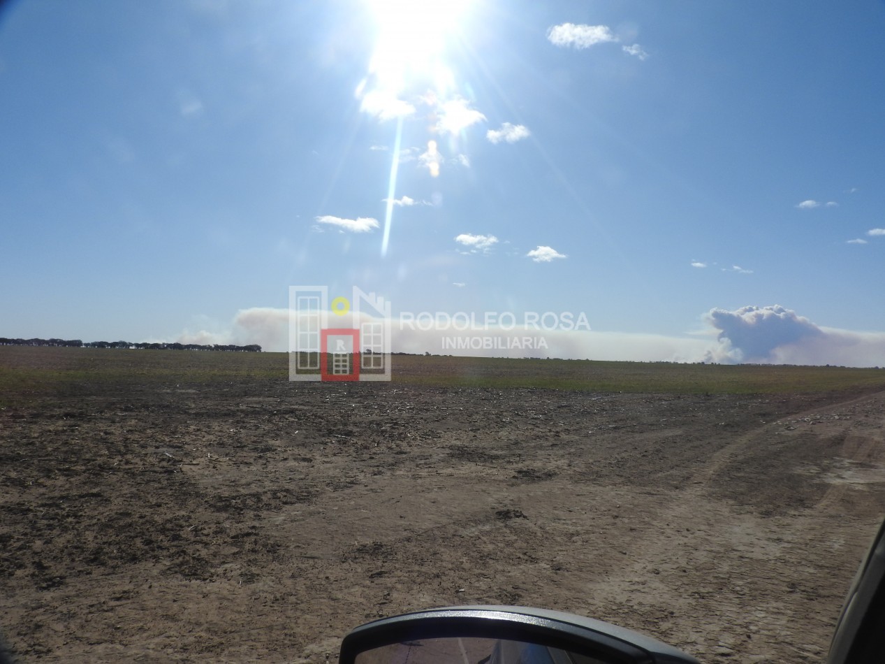 2578 hectareas en Pichihuinca, La Pampa