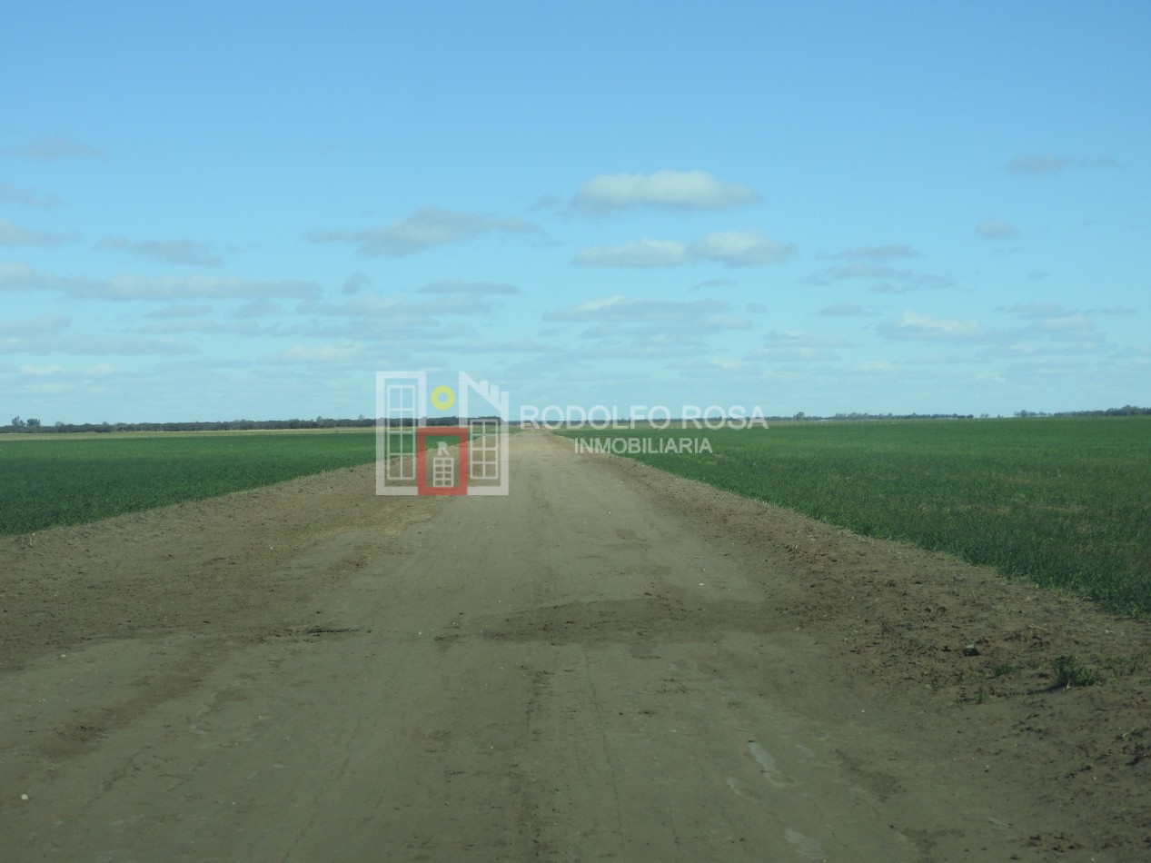 2578 hectareas en Pichihuinca, La Pampa