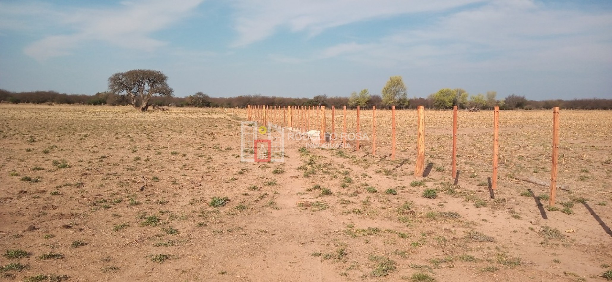 Excelente campo ganadero en departamento Rancul, La Pampa