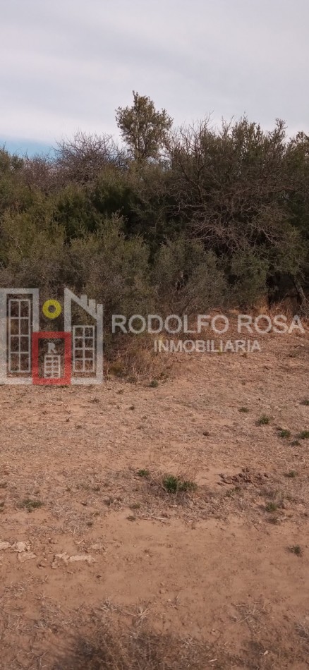 Excelente campo ganadero en departamento Rancul, La Pampa