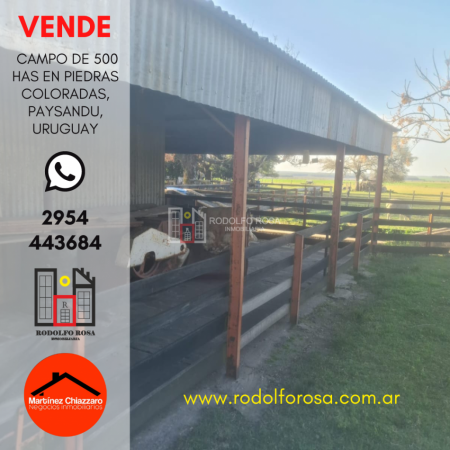 500 hectareas mixtas en Paysandu, Uruguay