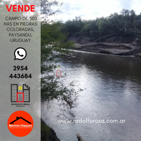 500 hectareas mixtas en Paysandu, Uruguay