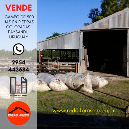 500 hectareas mixtas en Paysandu, Uruguay