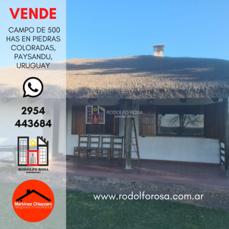 500 hectareas mixtas en Paysandu, Uruguay