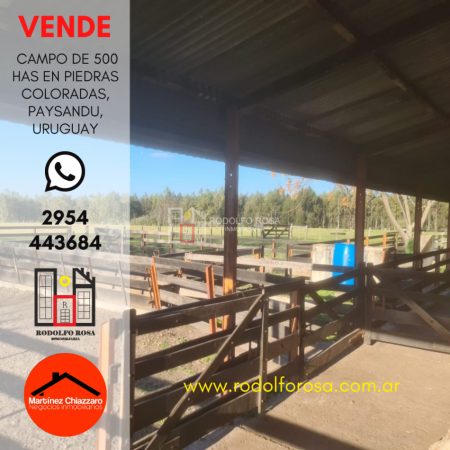 500 hectareas mixtas en Paysandu, Uruguay