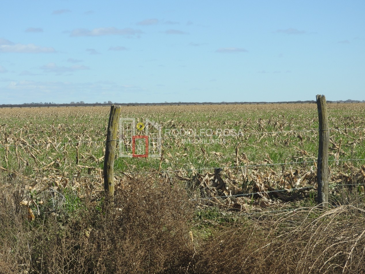 2578 hectareas en Pichihuinca, La Pampa