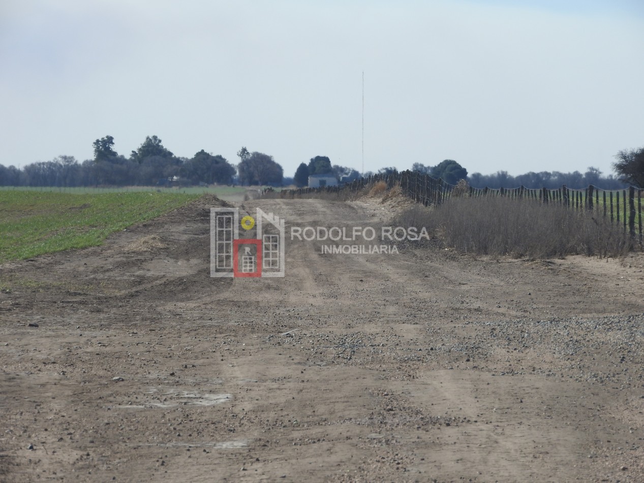 2578 hectareas en Pichihuinca, La Pampa