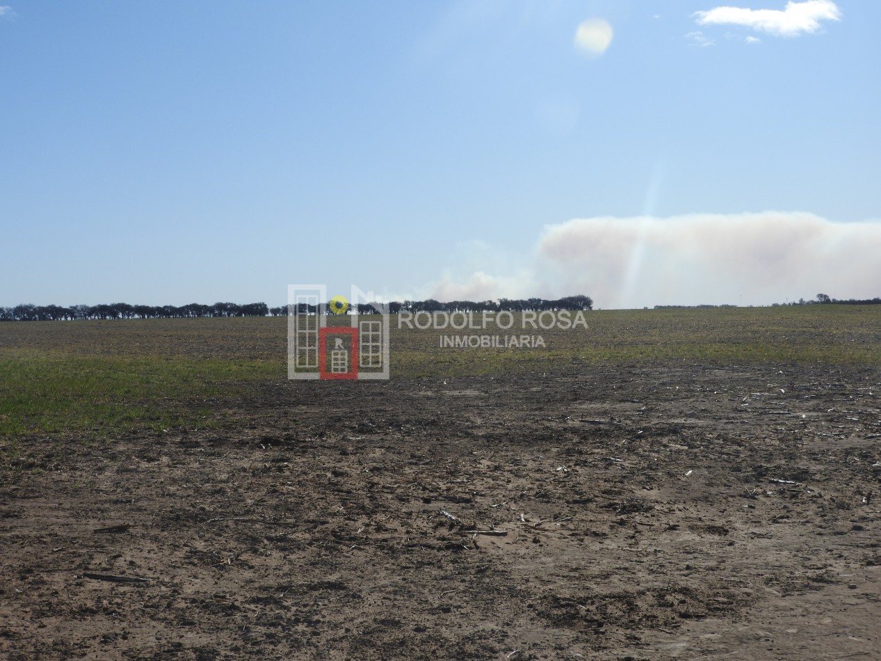 2578 hectareas en Pichihuinca, La Pampa