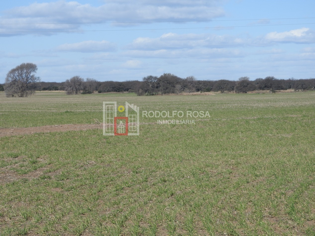2578 hectareas en Pichihuinca, La Pampa