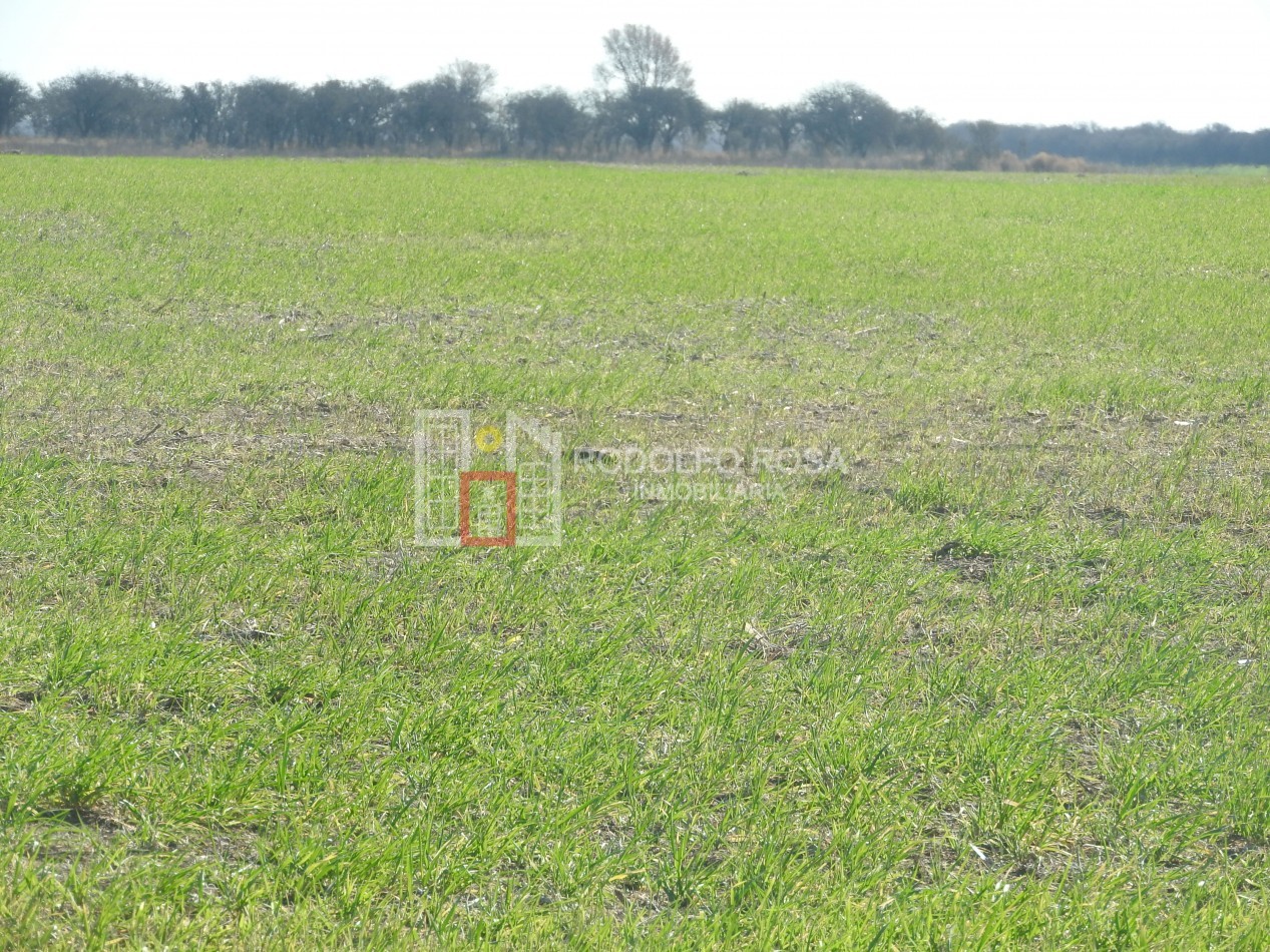 2578 hectareas en Pichihuinca, La Pampa