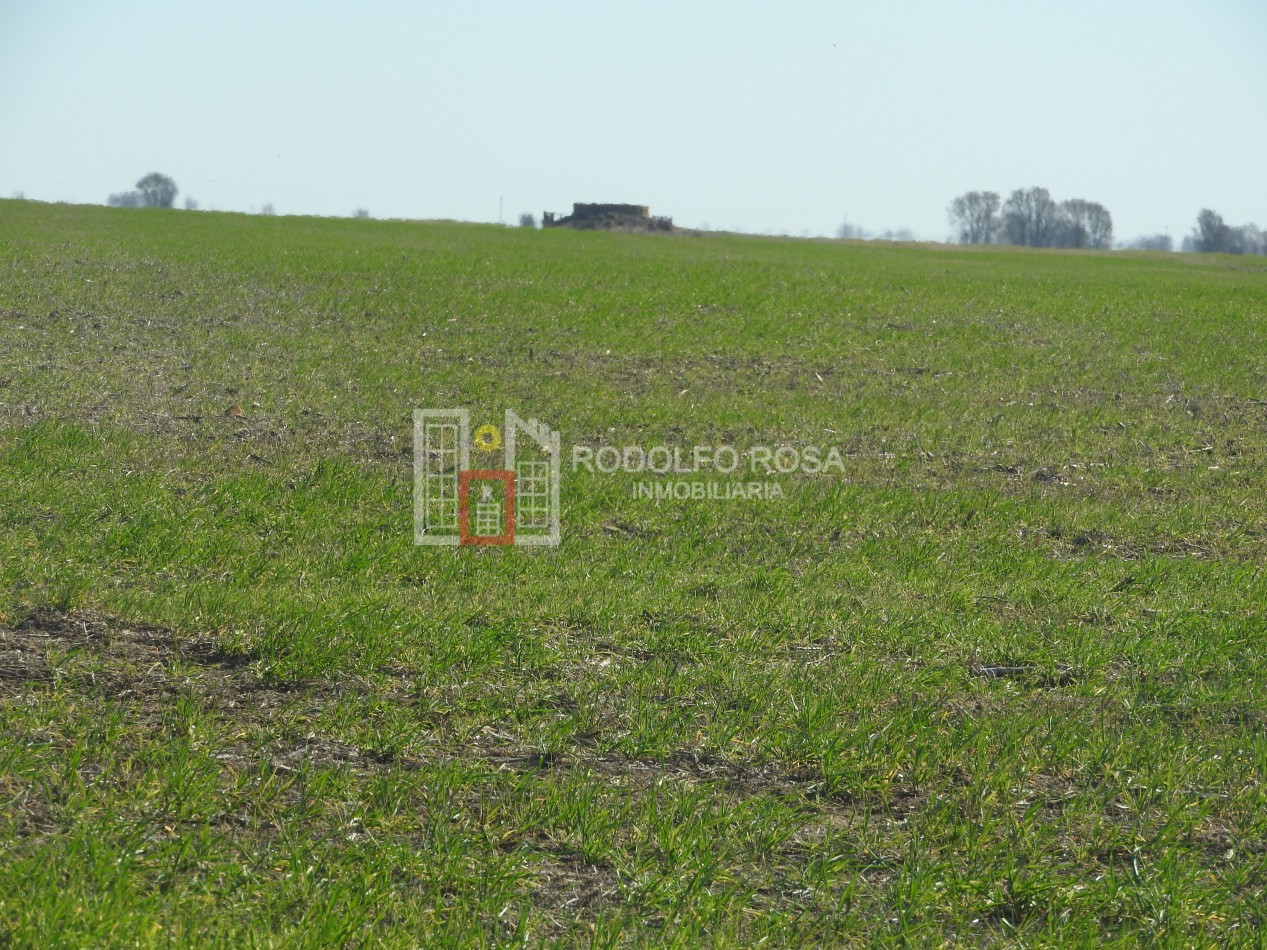2578 hectareas en Pichihuinca, La Pampa
