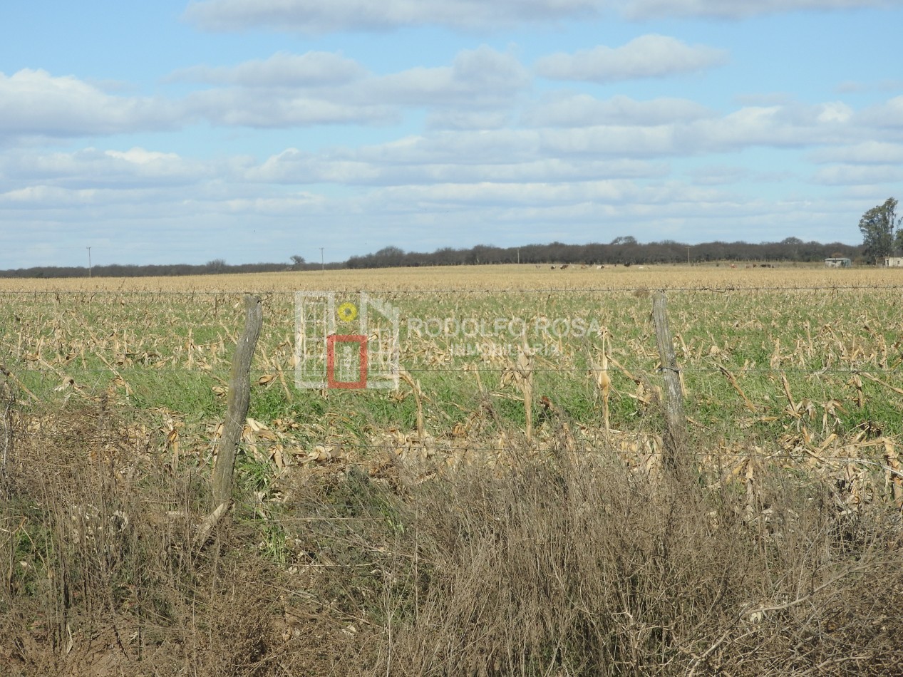 2578 hectareas en Pichihuinca, La Pampa