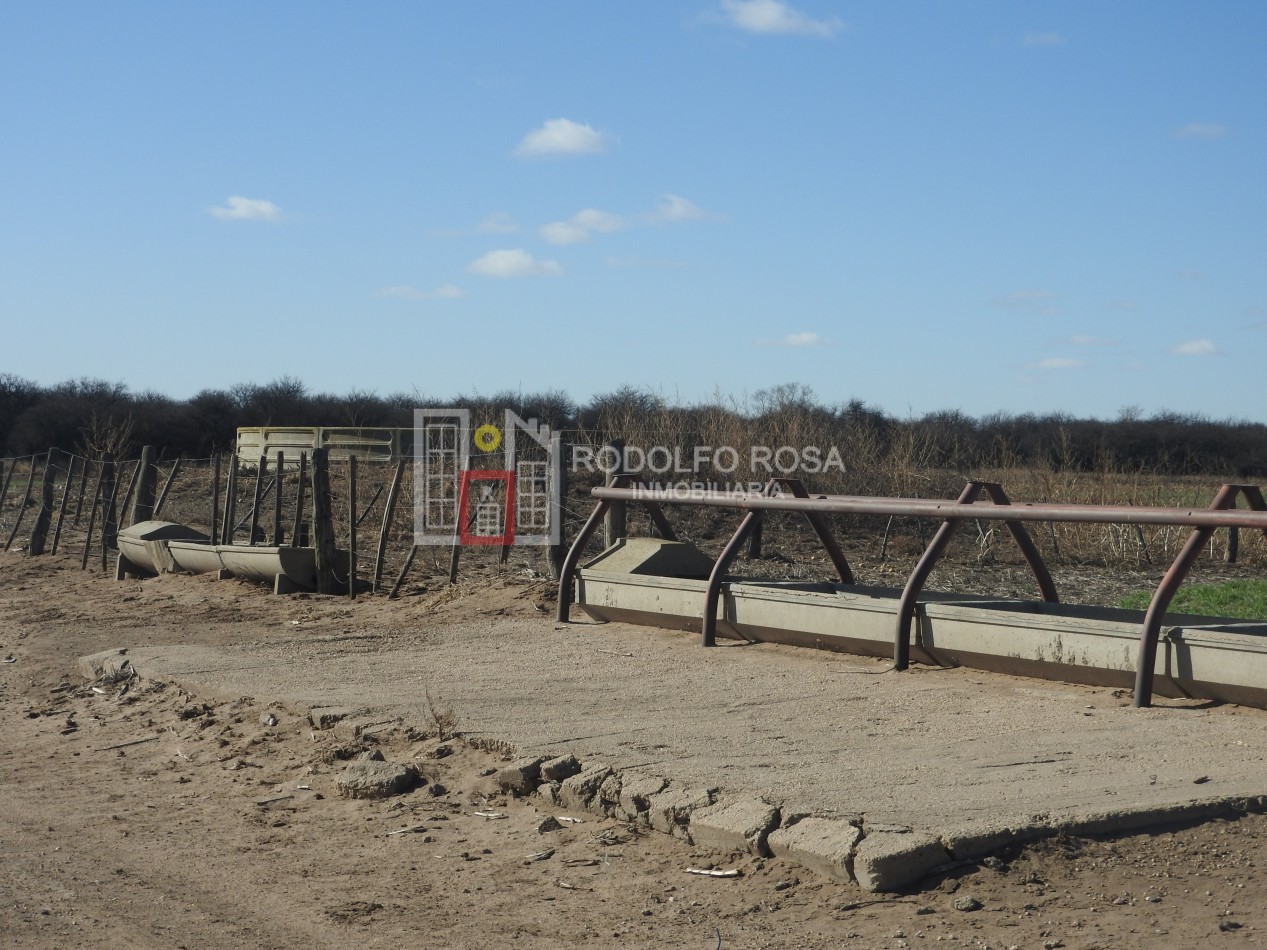 2578 hectareas en Pichihuinca, La Pampa