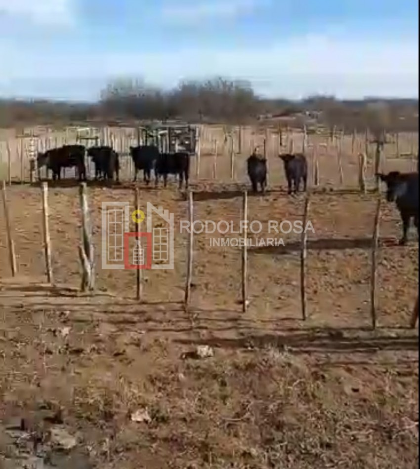 A LA VENTA - en EXCLUSIVIDAD - 5200 hectareas ganaderas en Chacharramendi, La Pampa