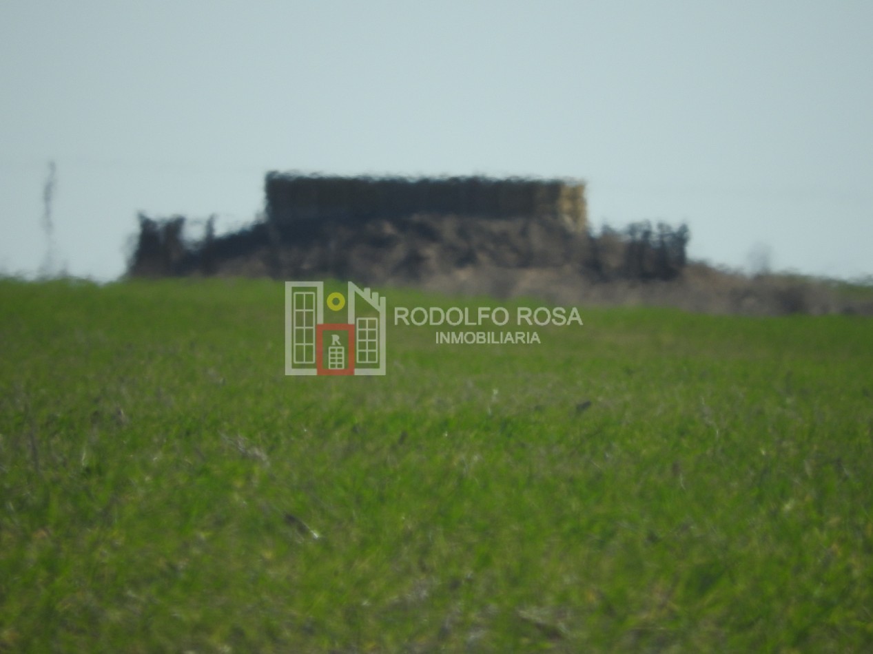 2578 hectareas en Pichihuinca, La Pampa