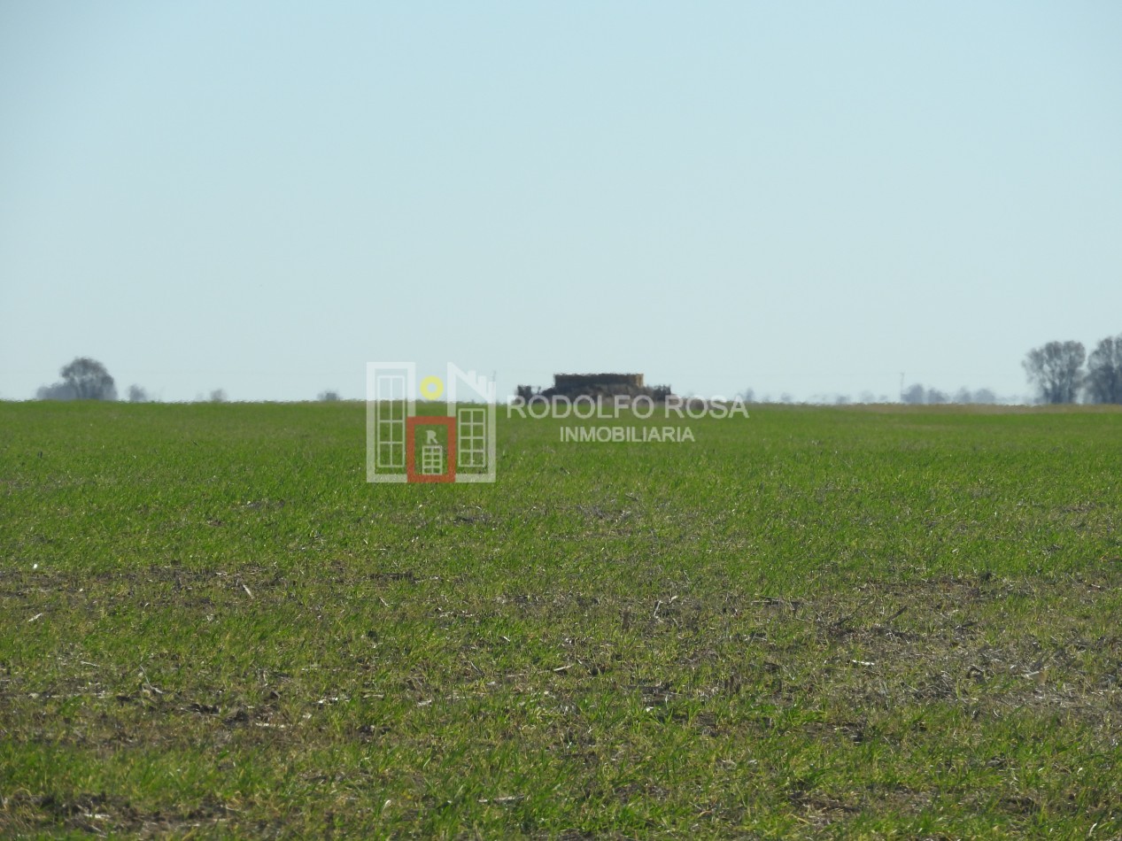 2578 hectareas en Pichihuinca, La Pampa