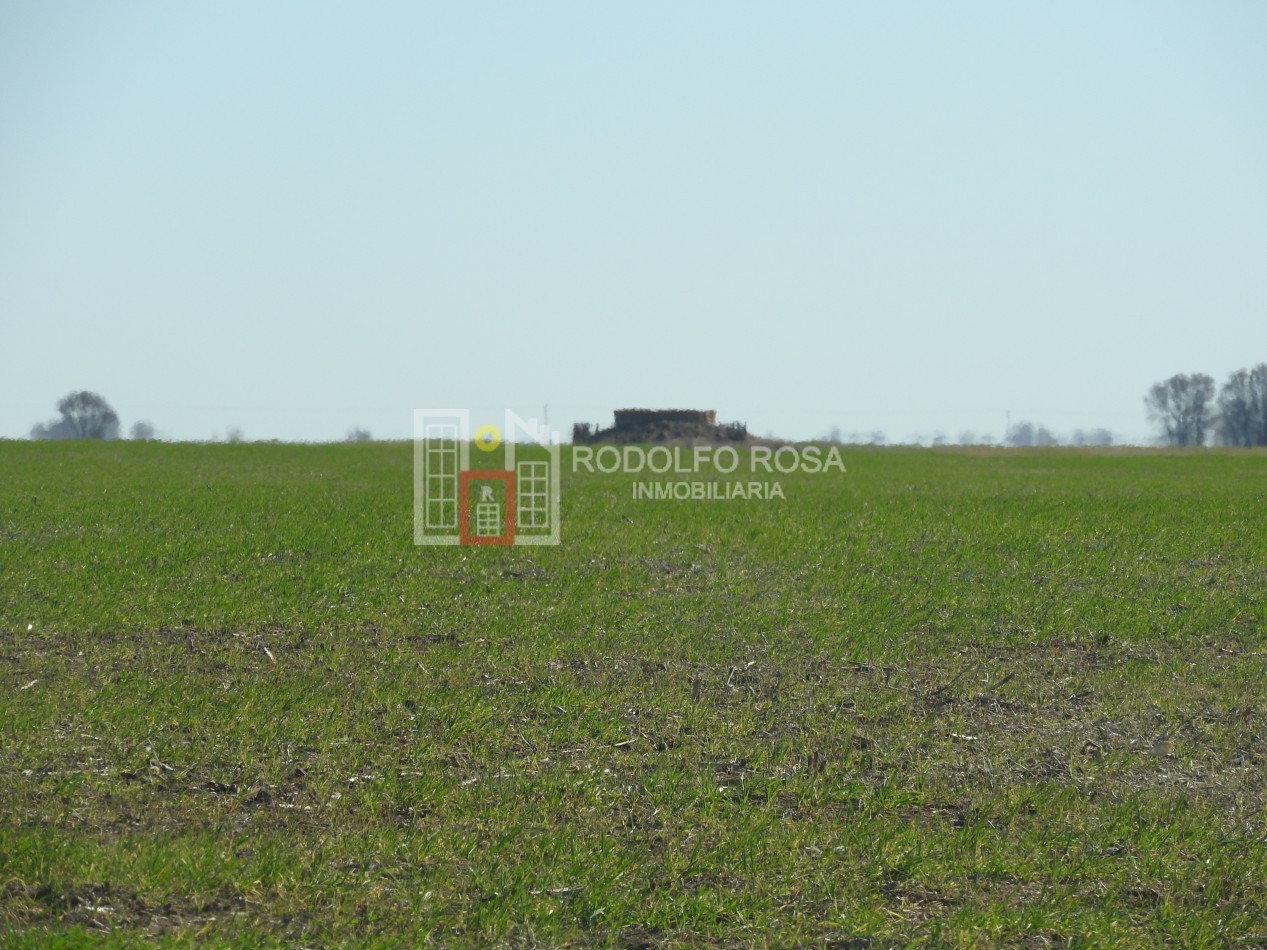 2578 hectareas en Pichihuinca, La Pampa