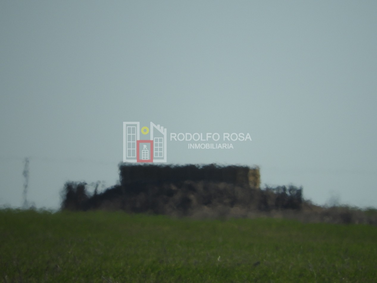 2578 hectareas en Pichihuinca, La Pampa