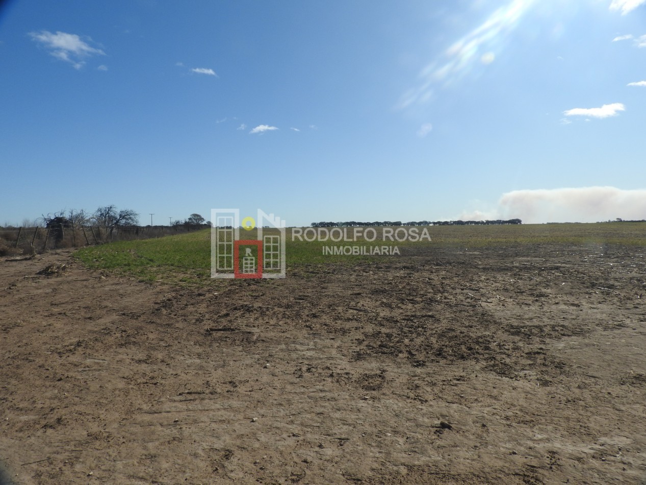 2578 hectareas en Pichihuinca, La Pampa