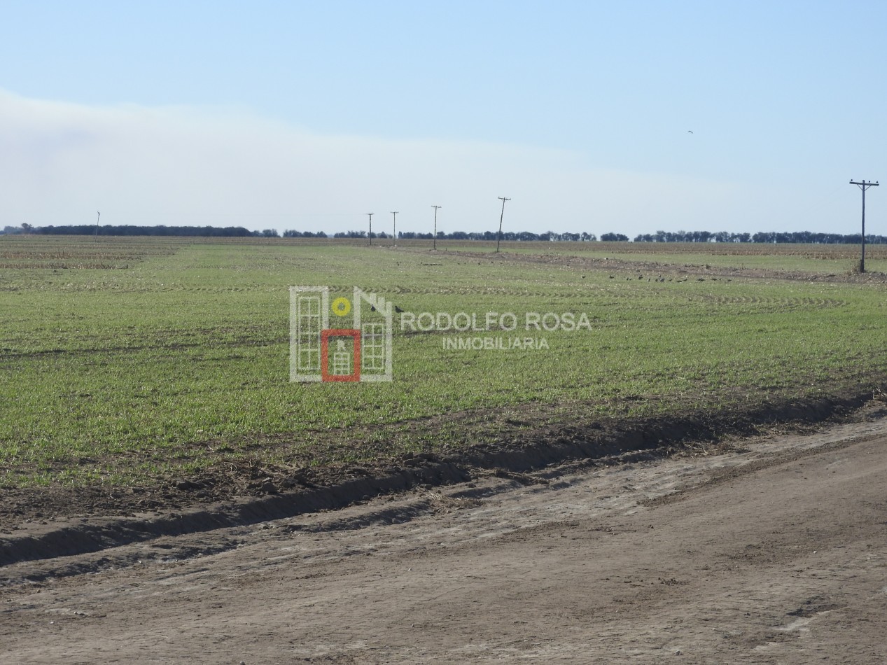 2578 hectareas en Pichihuinca, La Pampa