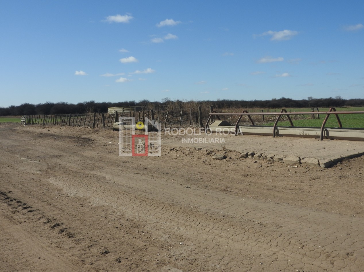 2578 hectareas en Pichihuinca, La Pampa