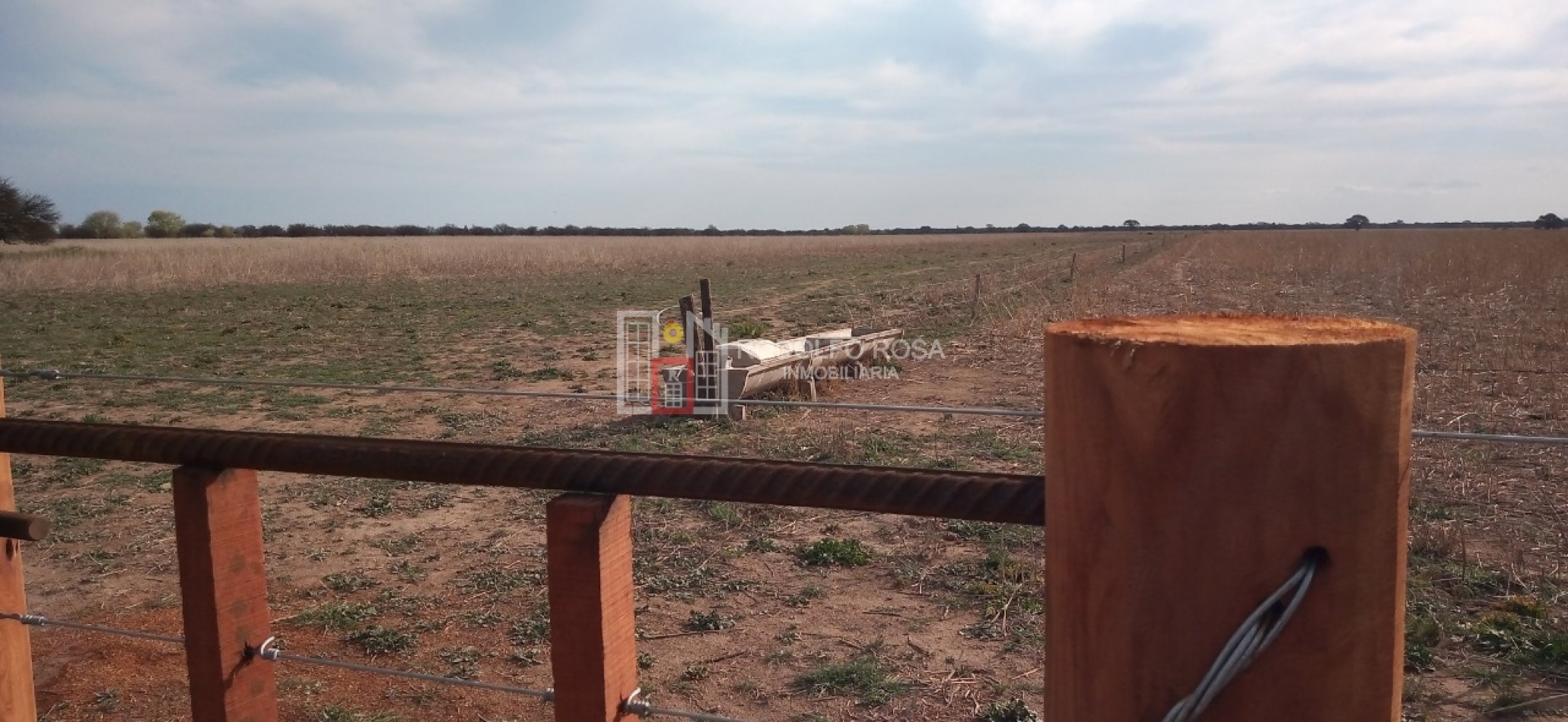 Excelente campo ganadero en departamento Rancul, La Pampa