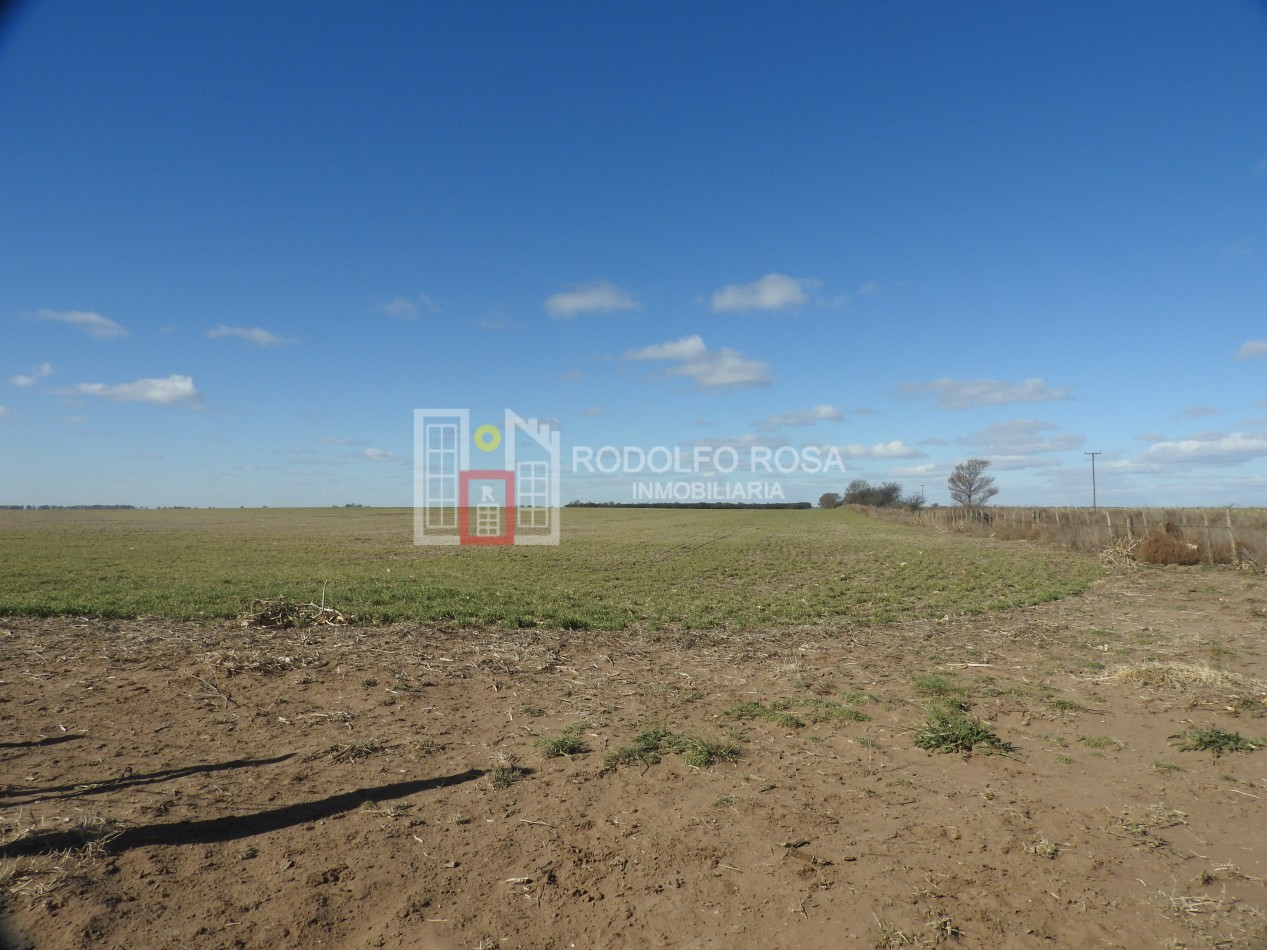 2578 hectareas en Pichihuinca, La Pampa