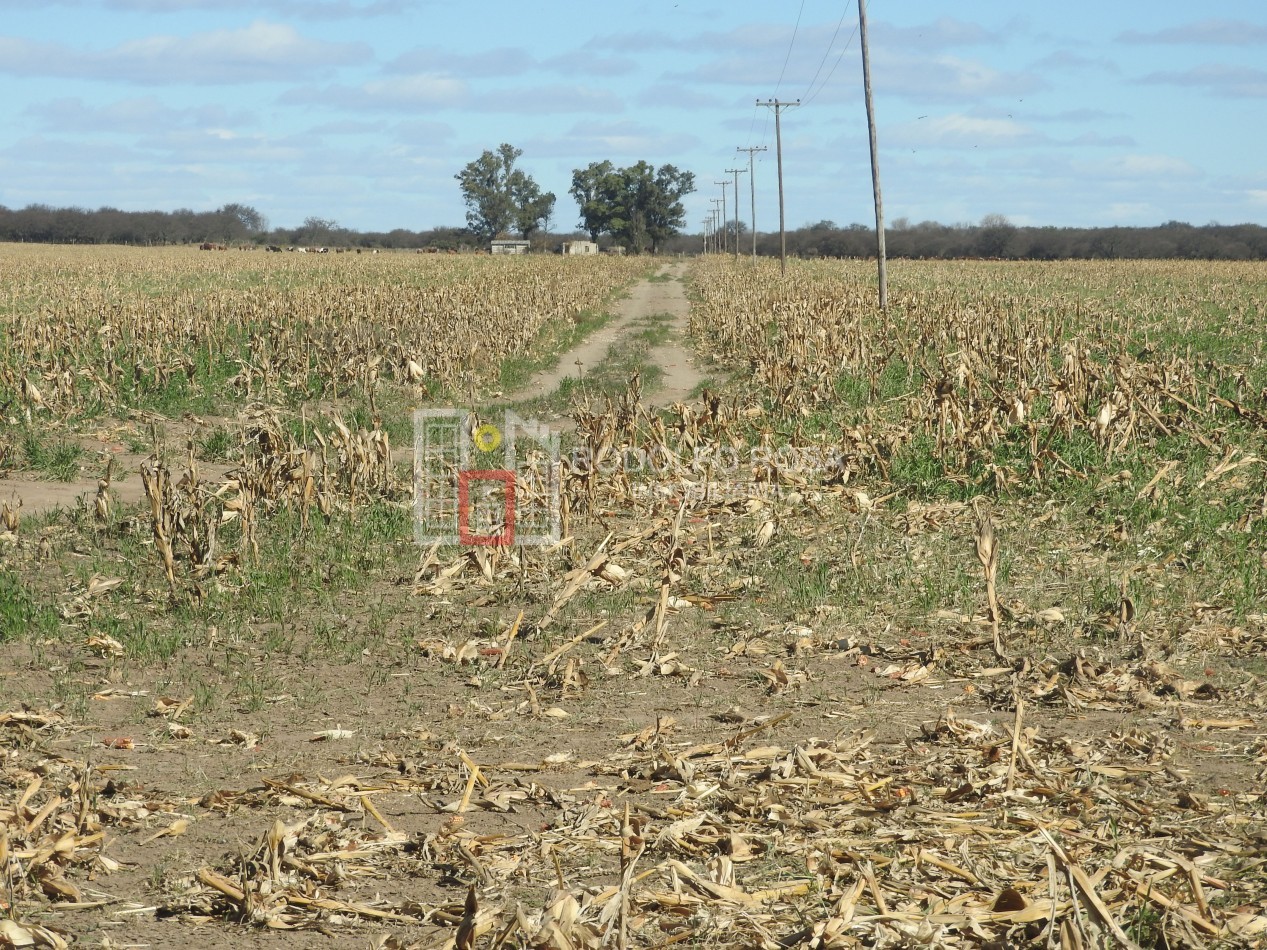 2578 hectareas en Pichihuinca, La Pampa