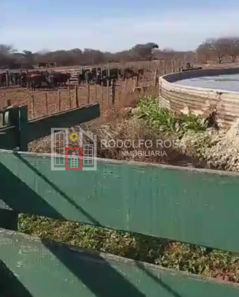 A LA VENTA - en EXCLUSIVIDAD - 5200 hectareas ganaderas en Chacharramendi, La Pampa