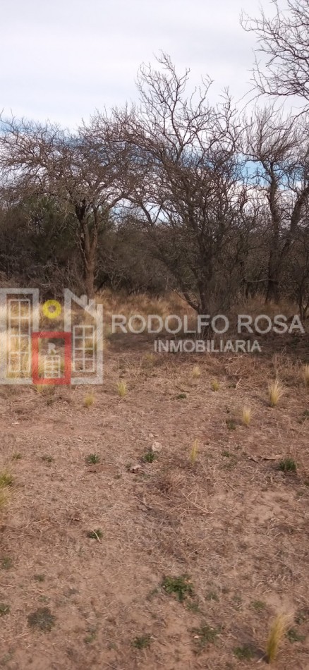 Excelente campo ganadero en departamento Rancul, La Pampa