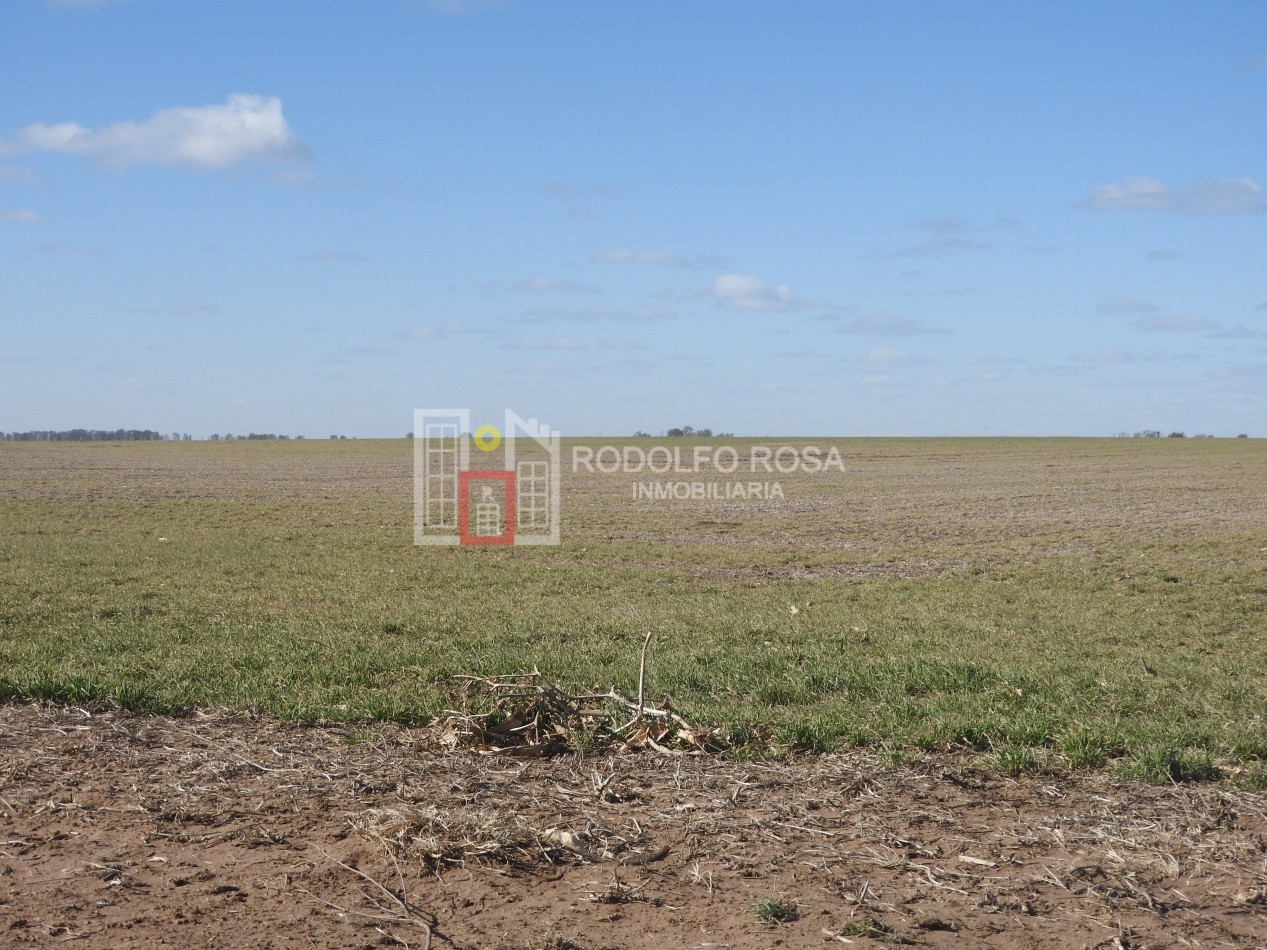 2578 hectareas en Pichihuinca, La Pampa