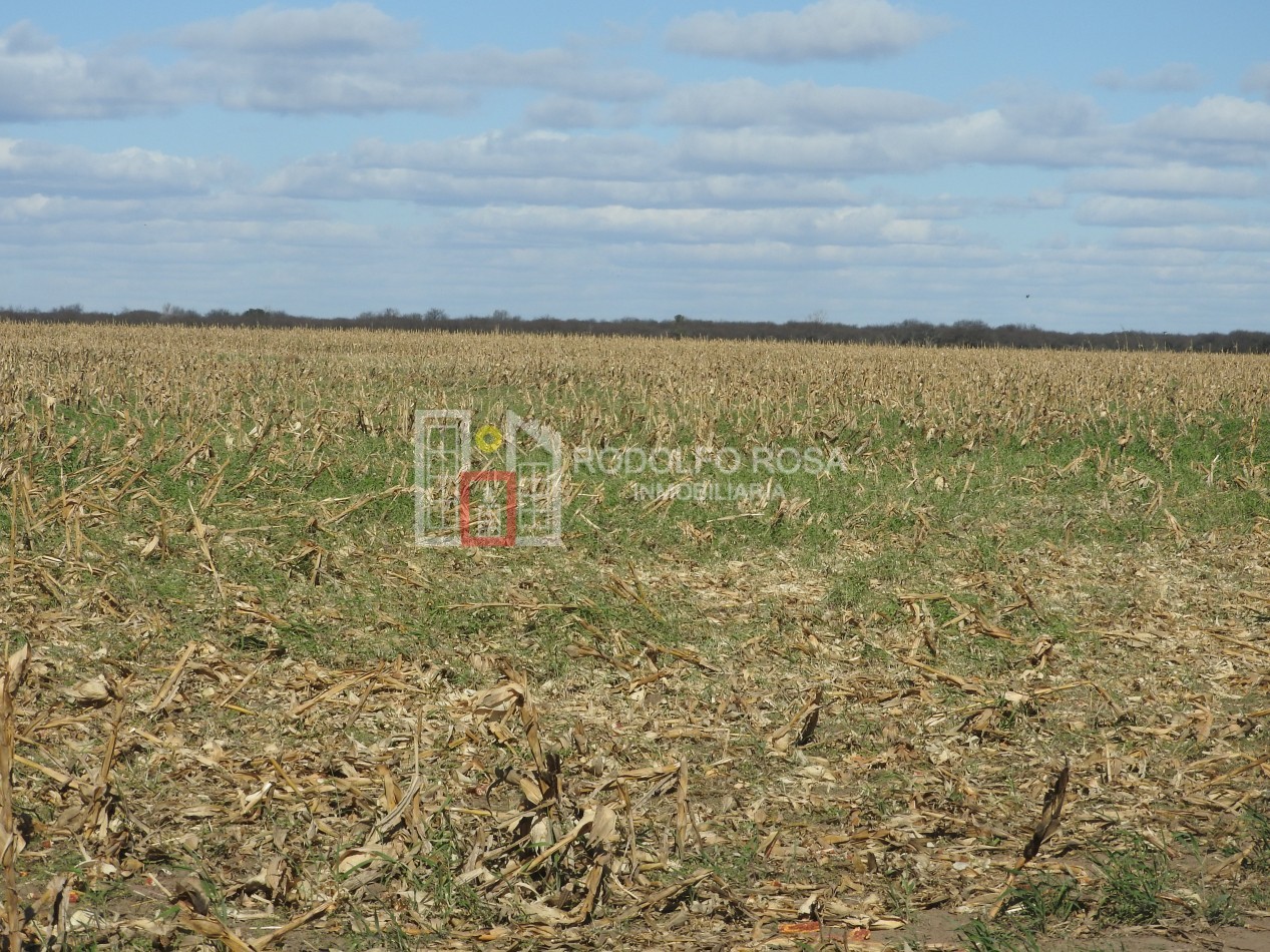 2578 hectareas en Pichihuinca, La Pampa
