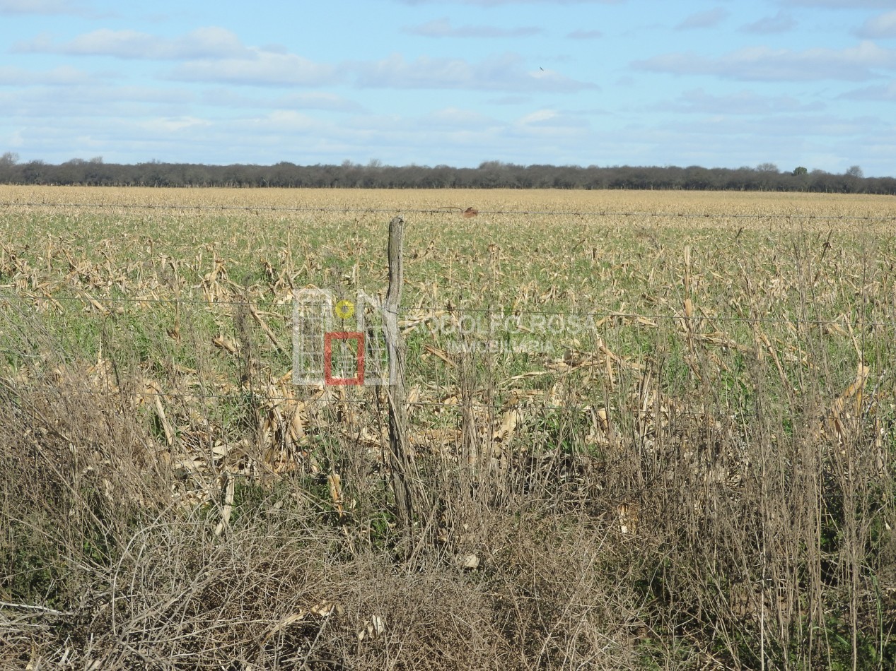 2578 hectareas en Pichihuinca, La Pampa