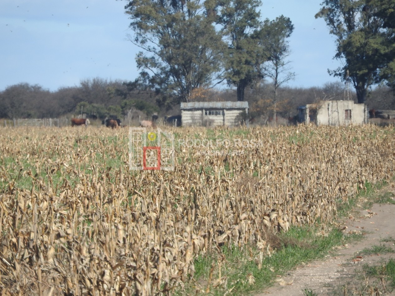 2578 hectareas en Pichihuinca, La Pampa