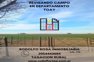 Amplia demanda y ofertas deficientes ( o exhuberantes )