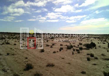 2500 hectareas en Limay Mahuida, La Pampa