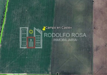 133 hectareas a la venta al Noroeste de Castex (en condominio)