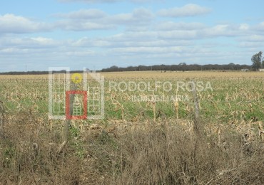 2578 hectareas en Pichihuinca, La Pampa