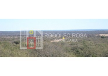 Excelente campo ganadero de 2500 hectareas en Departamento Toay, La Pampa, Argentina